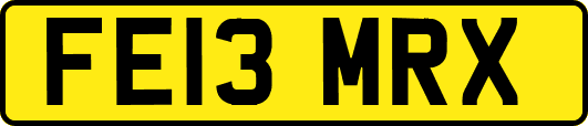 FE13MRX