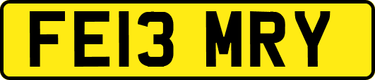 FE13MRY