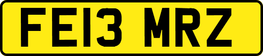 FE13MRZ
