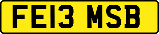 FE13MSB
