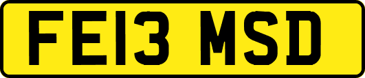 FE13MSD