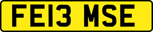 FE13MSE