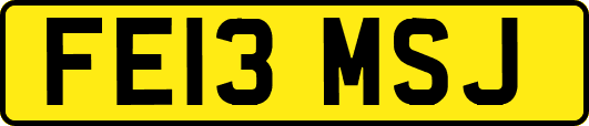 FE13MSJ
