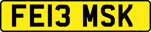 FE13MSK