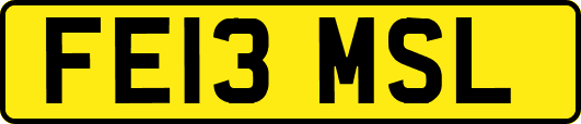FE13MSL