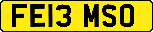 FE13MSO