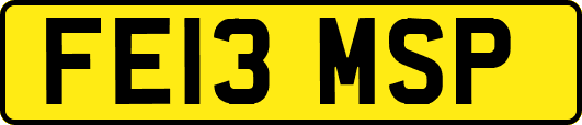 FE13MSP