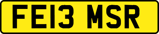 FE13MSR