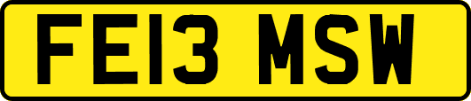 FE13MSW