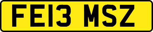 FE13MSZ