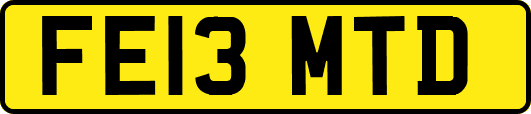 FE13MTD