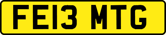FE13MTG