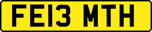 FE13MTH