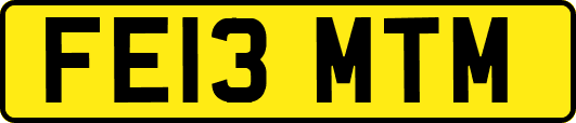 FE13MTM