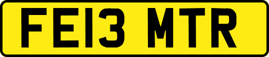 FE13MTR