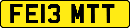 FE13MTT