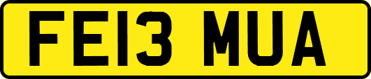 FE13MUA