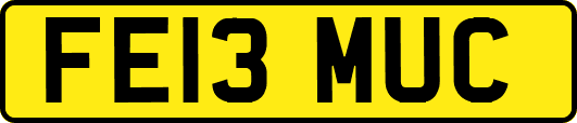 FE13MUC