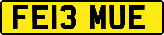 FE13MUE