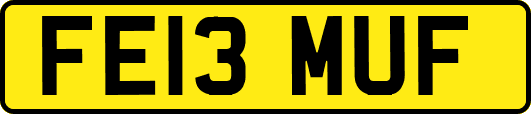 FE13MUF