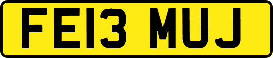 FE13MUJ