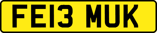 FE13MUK