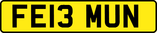 FE13MUN