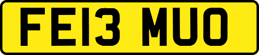 FE13MUO