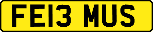 FE13MUS