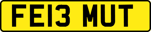 FE13MUT