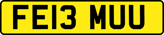 FE13MUU