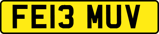 FE13MUV