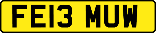 FE13MUW