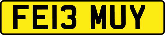 FE13MUY