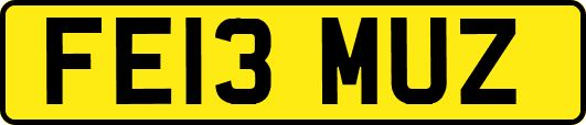FE13MUZ