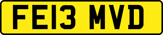 FE13MVD