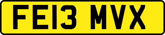 FE13MVX