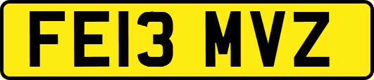 FE13MVZ
