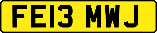 FE13MWJ