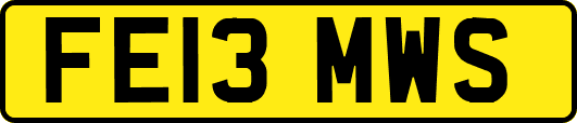 FE13MWS
