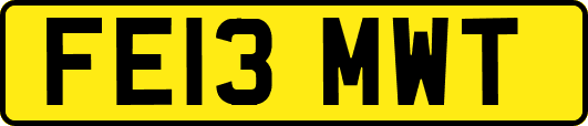FE13MWT