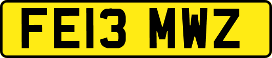 FE13MWZ
