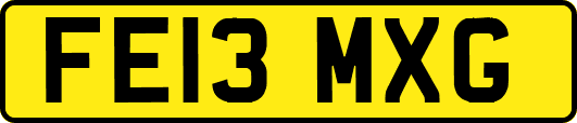 FE13MXG