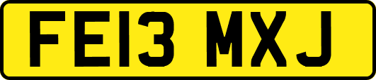 FE13MXJ
