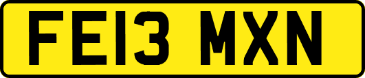 FE13MXN