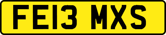 FE13MXS