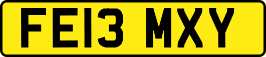 FE13MXY
