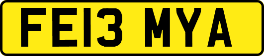 FE13MYA