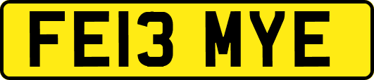 FE13MYE