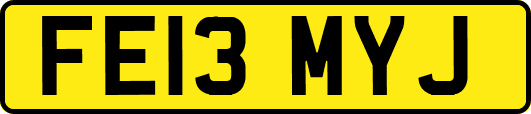 FE13MYJ